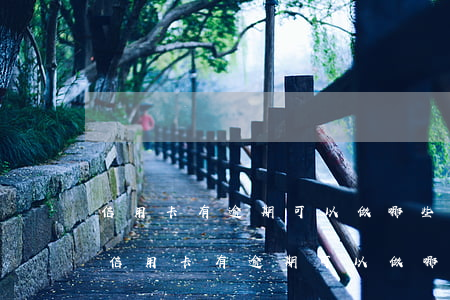 信用卡有逾期可以做哪些網(wǎng)貸(信用卡有逾期可以做哪些網(wǎng)貸平臺)