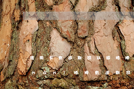 信用卡有逾期可以做抵押貸款嗎-房產(chǎn)抵押有逾期可以貸嗎?