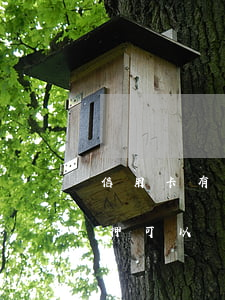 信用卡有逾期可以做車抵貸(有逾期用車子抵押可以貸款嗎)