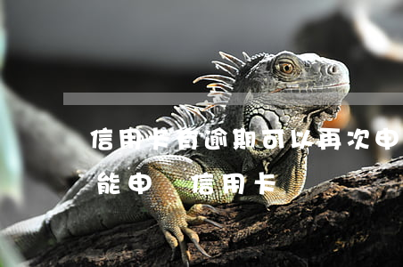 信用卡有逾期可以再次申請嗎(有一次逾期還能申請信用卡嗎)