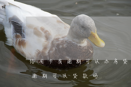 信用卡有逾期可以办房贷么(买房子信用卡有逾期可以贷款吗)