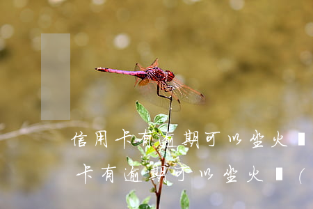 信用卡有逾期可以坐火車(chē)嗎(信用卡有逾期可以坐火車(chē)嗎)