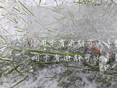 信用卡有逾期可以手機(jī)分期嗎-信用卡有逾期可以手機(jī)分期嗎怎么辦