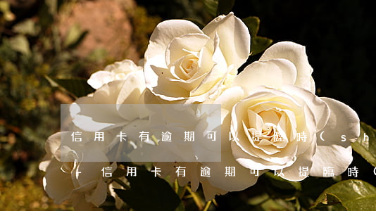 信用卡有逾期可以提臨時(shí)額度嗎-信用卡有逾期可以提臨時(shí)額度嗎安全嗎