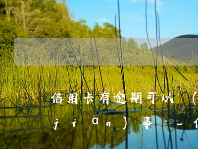 信用卡有逾期可以擔(dān)任公司監(jiān)事嗎-信用卡有逾期可以擔(dān)任公司監(jiān)事嗎知乎