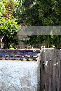 信用卡有逾期可以當(dāng)法人嗎(欠信用卡可以做法人嗎)