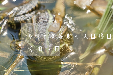 信用卡有逾期可以辦信貸嗎(信用有逾期能辦信用卡嗎)