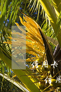 信用卡有逾期可以辦借記卡嗎(貸款逾期可以辦信用卡嗎)