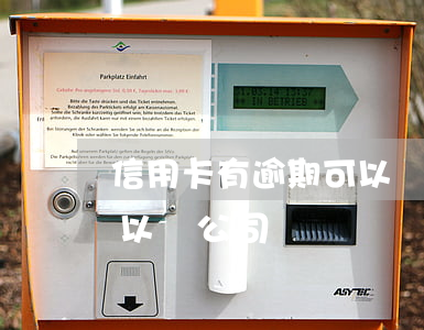 信用卡有逾期可以辦公司嗎(信用卡有逾期可以辦公司嗎)