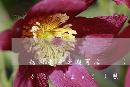 信用卡有逾期可以辦營(yíng)業(yè)執(zhí)照嗎 信用卡逾期能辦理營(yíng)業(yè)執(zhí)照嗎