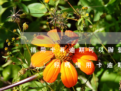 信用卡有逾期可以辦營業(yè)執(zhí)照嗎 信用卡逾期能辦理營業(yè)執(zhí)照嗎