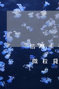 信用卡有逾期可以辦理微粒貸嗎 征信有逾期微粒貸可以借款嗎