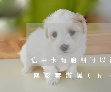 信用卡有逾期可以辦護(hù)照嗎(征信逾期影響辦護(hù)照嗎)