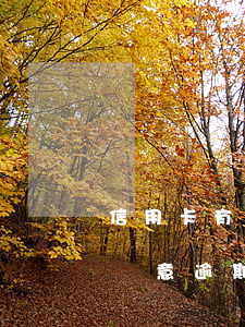 信用卡有逾期可以開(kāi)證明嗎-非惡意逾期證明好開(kāi)嗎信用卡
