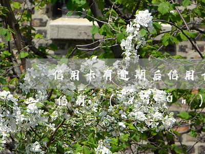 信用卡有逾期后(信用卡有逾期后面還清了征信有點(diǎn)問題會(huì)影響孩子嗎)