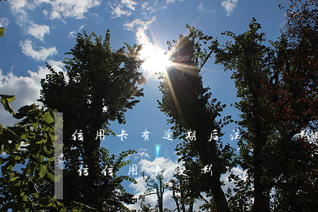 信用卡有逾期后注銷會影響征信嗎(逾期上征信信用卡受影響)