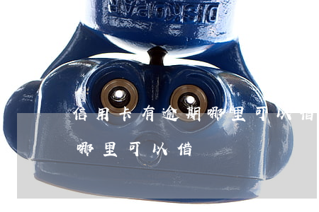 信用卡有逾期哪里可以借錢(信用卡逾期過在哪里可以借錢)