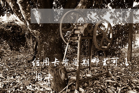 信用卡有逾期哪里可以貸款(有逾期能下的信用卡)