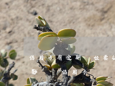 信用卡有逾期單位要征信有影響嗎(征信逾期影響辦信用卡嗎)