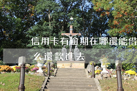 信用卡有逾期在哪還能借到(逾期的信用卡怎么還款進去)