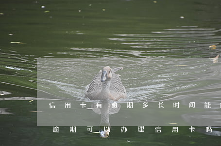 信用卡有逾期多长时间能办贷款(银行贷款有逾期可以办理信用卡吗)