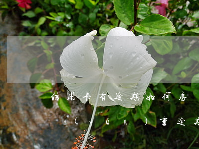 信用卡有逾期如何房貸-房貸沒逾期信用卡嚴(yán)重逾期