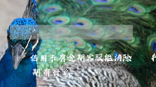 信用卡有逾期客服能消除嗎(銀行卡信用卡逾期有什么辦)