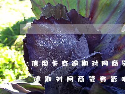 信用卡有逾期对网商贷有影响么-信用卡有逾期对网商贷有影响么吗