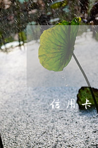 信用卡有逾期對政審