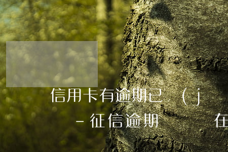 信用卡有逾期已經(jīng)注銷了怎么還-征信逾期記錄還在,但信用卡已注銷怎么辦?
