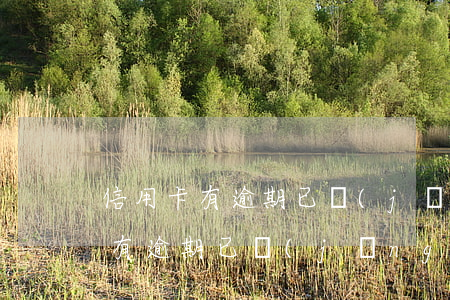信用卡有逾期已經(jīng)銷戶 信用卡有逾期已經(jīng)銷戶