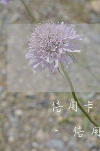 信用卡有逾期已還清多久可以恢復(fù)-信用卡有逾期已還清多久可以恢復(fù)征信