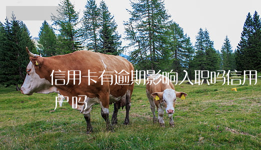 信用卡有逾期影响入职吗(信用卡逾期影响落户吗)
