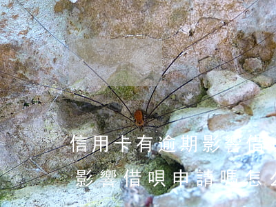 信用卡有逾期影響借唄申請嗎(信用卡有逾期影響借唄申請嗎怎么申請)