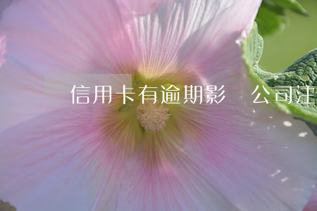 信用卡有逾期影響公司注銷嗎(信用卡 注銷 影響)