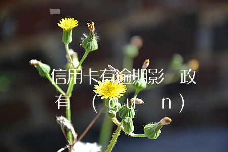 信用卡有逾期影響政審嗎(政審和信用卡逾期有關(guān)嗎)