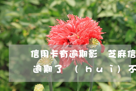 信用卡有逾期影響芝麻信用分嗎-我信用卡逾期了會(huì)不會(huì)影響支付寶的使用