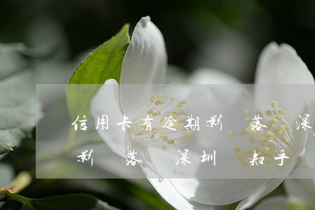 信用卡有逾期影響落戶深圳嗎(信用卡有逾期影響落戶深圳嗎知乎)