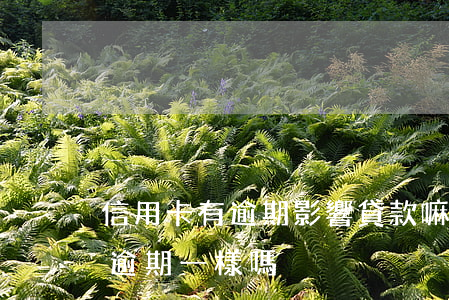 信用卡有逾期影響貸款嘛(貸款逾期跟信用卡逾期一樣嗎)