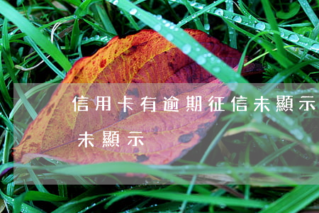 信用卡有逾期征信未顯示(信用卡有逾期征信未顯示)