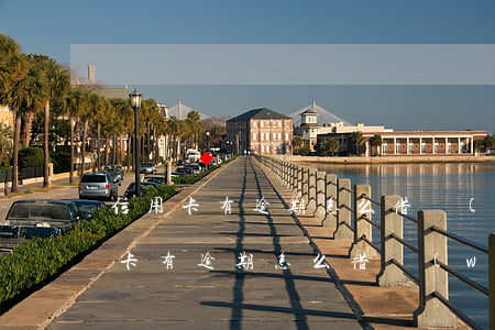 信用卡有逾期怎么借網(wǎng)貸(信用卡有逾期怎么借網(wǎng)貸)