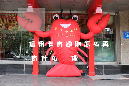 信用卡有逾期怎么再辦-今年的信用卡逾期有什么處理