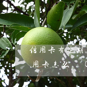 信用卡有逾期怎么協(xié)商還款(欠信用卡怎么協(xié)商還款)