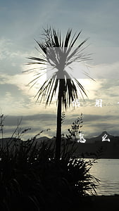 信用卡有逾期怎么恢復(fù)(信用卡逾期怎么恢復(fù)呢?)