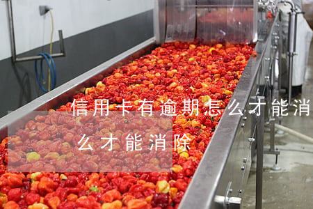 信用卡有逾期怎么才能消除(信用卡有逾期怎么才能消除)