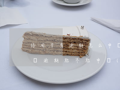 信用卡有逾期怎么申請(qǐng)延期(有過逾期能不能申請(qǐng)信用卡)