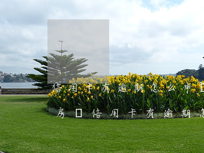 信用卡有逾期怎么申請(qǐng)房貸(辦房貸信用卡有逾期怎么辦)