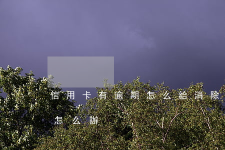 信用卡有逾期怎么給消除(所有的信用卡逾期怎么辦)