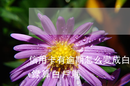 信用卡有逾期怎么變成白戶(有信用卡申請記錄算白戶嗎)