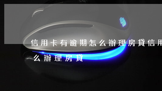 信用卡有逾期怎么辦理房貸(信用卡有逾期怎么辦理房貸)